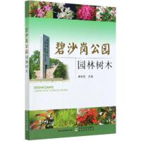 ��ɳ�����@�@�֘�ľ