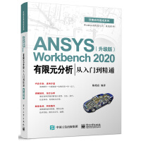 ANSYS Workbench 2020����Ԫ���������T����ͨ:����(j��)��