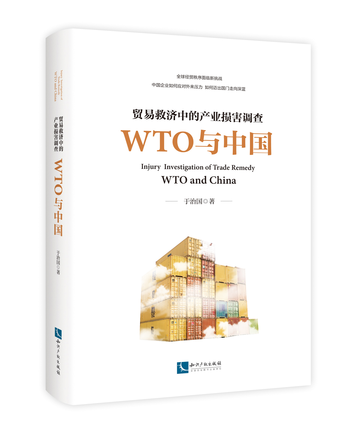 �Q(m��o)�׾ȝ�(j��)�еĮa(ch��n)�I(y��)�p���{(di��o)�顪�� WTO�c�Ї�