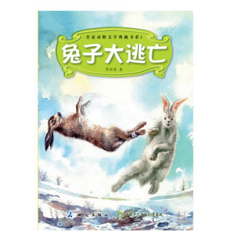 ���Ӵ�����