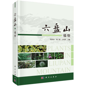 ���Pɽֲ��