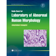 �������w�ΑB(t��i)�W���