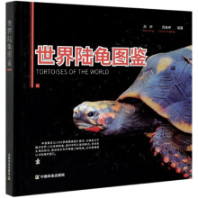 ��������D�b