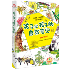 ���ӽo���ӵ���Ȼ�Pӛ