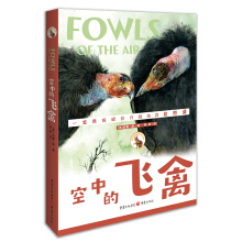 ���е��w��