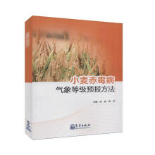 С����ù������ȼ��A(y��)�󷽷�