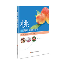 �Ҹ�Ч���༼�g(sh��)