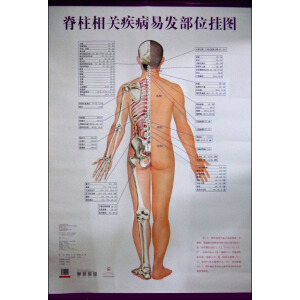 �������P(gu��n)�����װl(f��)��λ��D