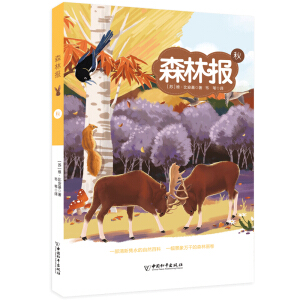 ��ɭ�ֈ�(b��o) �