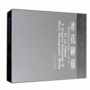 �������Z(y��)��΢���zӰˇ�g(sh��)̽��