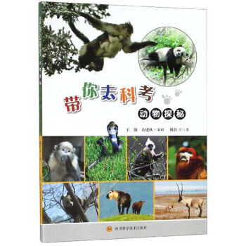 ����ȥ�ƿ�������̽��