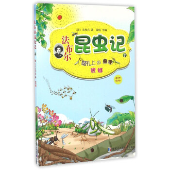 ���������xӛ��7������Y�ϵĚ������