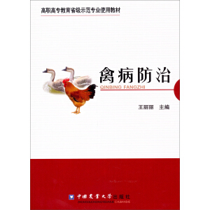 �ݲ�����