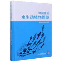 �\�ݳ�Ҋ(ji��n)ˮ����(d��ng)ֲ��D�b