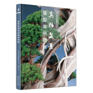 ����辰���͌�(sh��)���D��