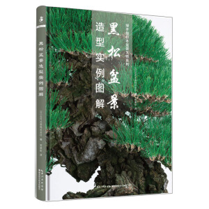 �����辰���͌�(sh��)���D��