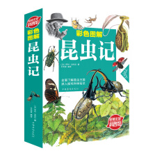 ��ɫ�D�����xӛ