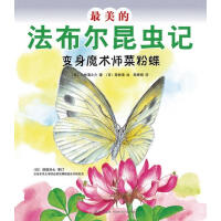 �����ķ��������xӛ,