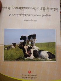 �N���B(y��ng)��ţʹ�ü��g�����İ棩