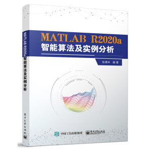 MATLAB R2020a�����㷨����������