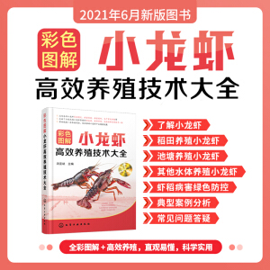 ��ɫ�D��С���r��Ч�B(y��ng)ֳ���g��ȫ