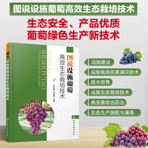 �D�f�Oʩ���Ѹ�Ч���B(t��i)���༼�g