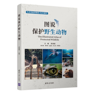 �D�f���o(h��)Ұ����(d��ng)��