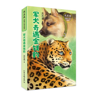 ܊Ȯ�������X��