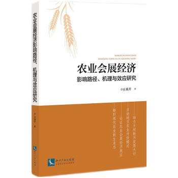 �r(n��ng)�I(y��)��չ��(j��ng)��Ӱ�·�����C���cЧ��(y��ng)�о�