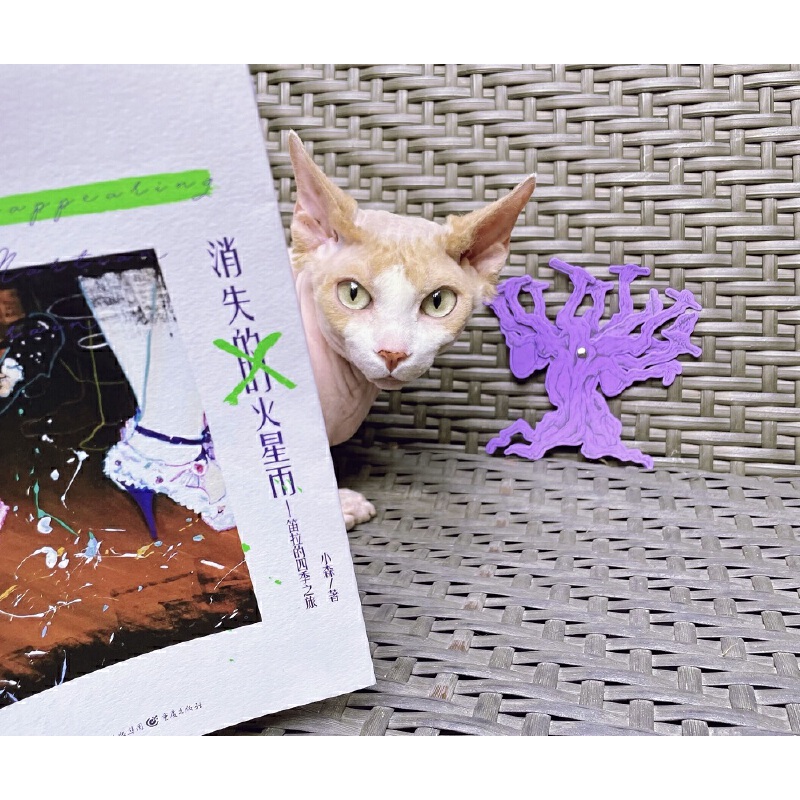 Сɭ����С�f����ʧ�Ļ�����