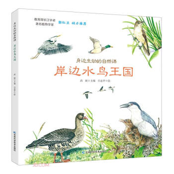 ��߅����(d��ng)����Ȼ�n-��߅ˮ�B����