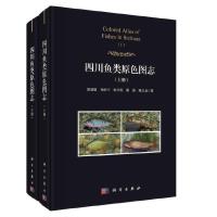 �Ĵ��~�ԭɫ�D־�����ԣ�