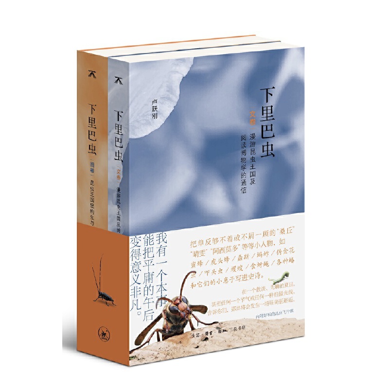 ������x�����x����(gu��)