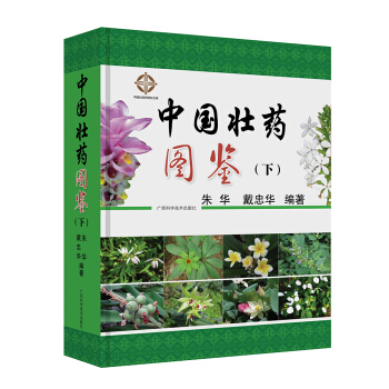 �Ї���ˎ�D�b���£�