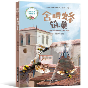 ���罛(j��ng)��������  ����������