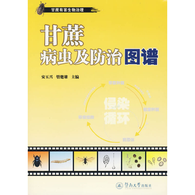 ���Ს�x(ch��ng)�����ΈD�V