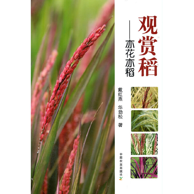 �^�p�������໨�ൾ