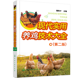 �F(xi��n)����(sh��)���B(y��ng)�u���g(sh��)��ȫ���ڶ��棩