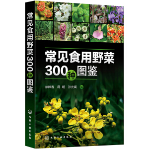 ��Ҋʳ��Ұ��300�N�D�b