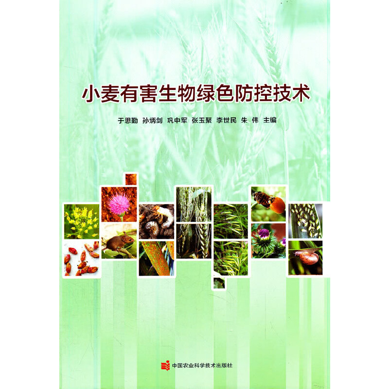 С���к�����Gɫ���ؼ��g(sh��)