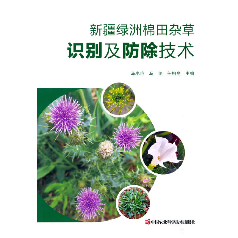 �½��G�������s���R�e���������g(sh��)