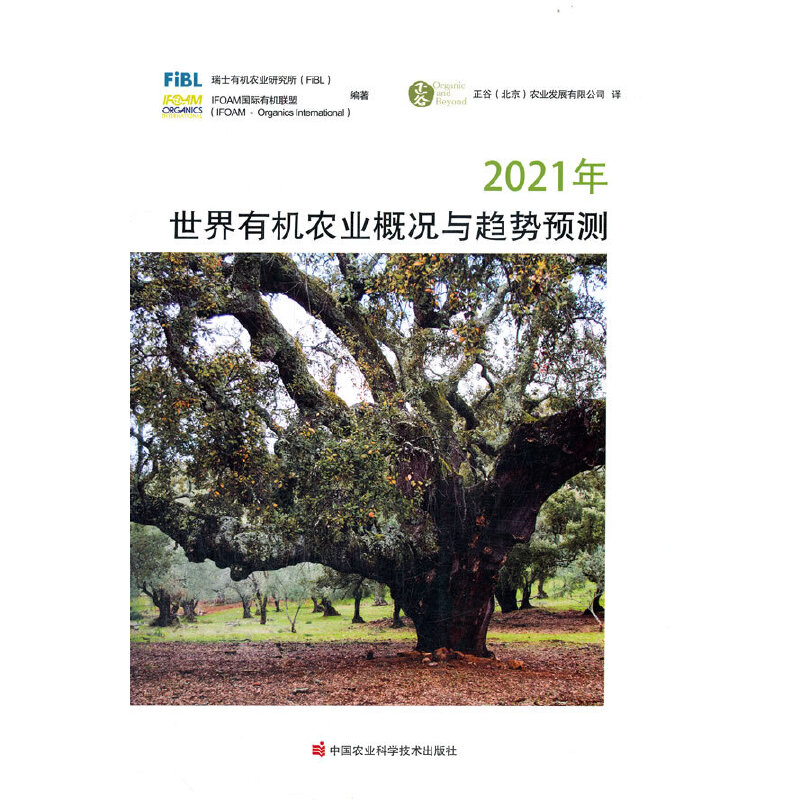 2021�������ЙC(j��)�r(n��ng)�I(y��)�śr�cڅ���A(y��)�y