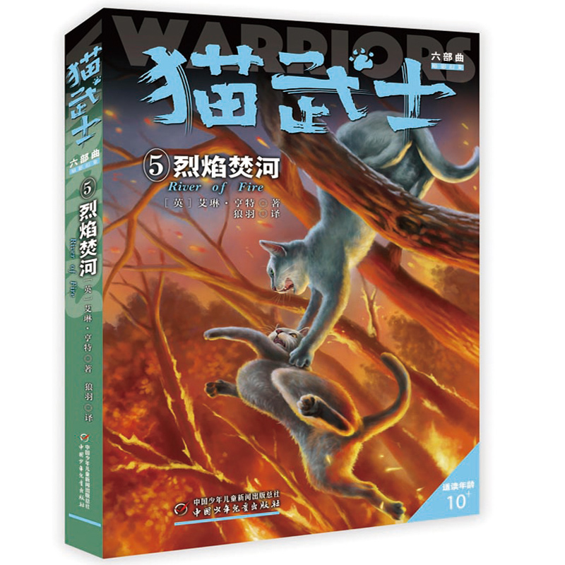 ؈��ʿ����������5����ٺ�