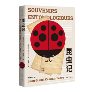 ���Z�ġ����꼉��ָ���Õ������xӛ�����ҽ�(j��ng)���Ď� �������Z���g�ҙ����g����