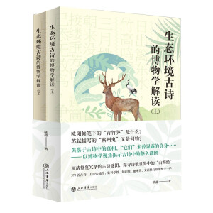 ���A���B(t��i)��Ԋ�Ĳ���W���x