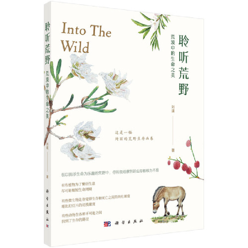 �� ��Ұ����Į�е�����֮��