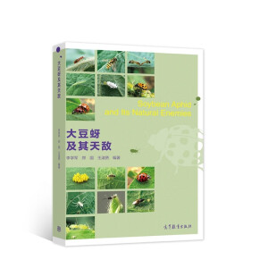 ���������씳