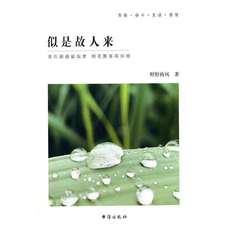 ���ǹ��ˁ�