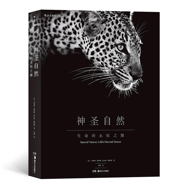 ��ʥ��Ȼ������������֮��