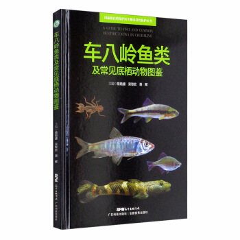 ܇�ˎX�~���Ҋ(ji��n)�ח���(d��ng)��D�b